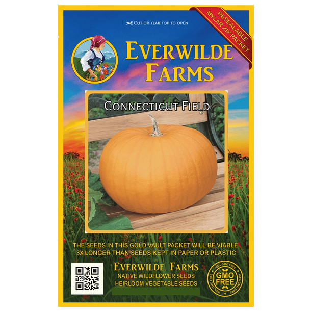 Everwilde Farms 20 Connecticut Field Pumpkin Pumpkin Seeds Gold Vault Jumbo Bulk Seed Packet