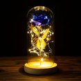 thumbnail image 1 of POINTERTECK LED Rose Flower In Glass Dome with Lights Infinity Crystal Rose Flower Enchanted Glass Rose Best Gift B, 1 of 6