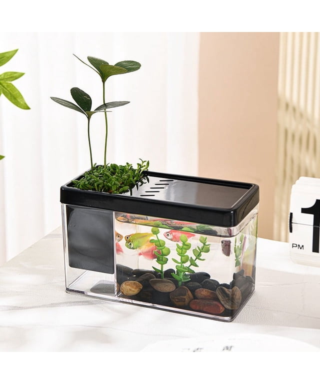 Stackable Fish Tank Small Betta Fish Tank 2-Pack Stackable Mini Aquariums - 0.6 Gallon ...