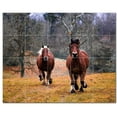thumbnail image 1 of Horse Ceramic Tile Mural Kitchen Backsplash Bathroom Shower, 402898-M54, 1 of 3