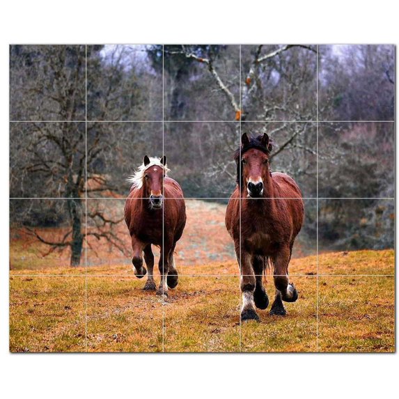 Horse Ceramic Tile Mural Kitchen Backsplash Bathroom Shower, 402898-M54
