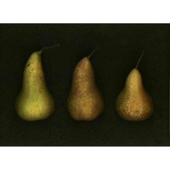 Posterazzi DPI1792902LARGE Three Golden Pears Poster Print by Deddeda, 32 x 22 - Large