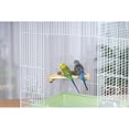 thumbnail image 4 of Prevue Pet Products Bird Cage Wood Corner Shelf 3300, 4 of 6