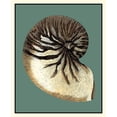 thumbnail image 2 of Vision Studio 20x24 Black Ornate Wood Framed with Double Matting Museum Art Print Titled - Oceans Treasure III, 2 of 4