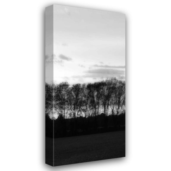 Alan Hausenflock 20x40 Gallery Wrapped Canvas Wall Art Titled - Winter Sunset BW IV