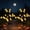D, variant on Halloween Pumpkin Shape Solar-Powered Ground Light Multi-Purpose Halloween Lawn Lamp Weatherproof Decorative Path Lights for Halloween Branches
