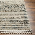 thumbnail image 2 of Hauteloom Miyu Living Room, Bedroom Area Rug - Contemporary - Bone, Black White, Driftwood - 5'3" x 7', 2 of 6