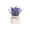 B, variant on Artificial Lavender Potted Plant, Realistic Fake Flower in Ceramic Pot, Faux Plant for Desktop Shelf Home Living Room Farmhouse Decoration, No Watering Needed