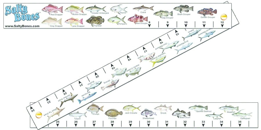 Rapala Adhesive Fish Ruler 36 inch RAFR NEW