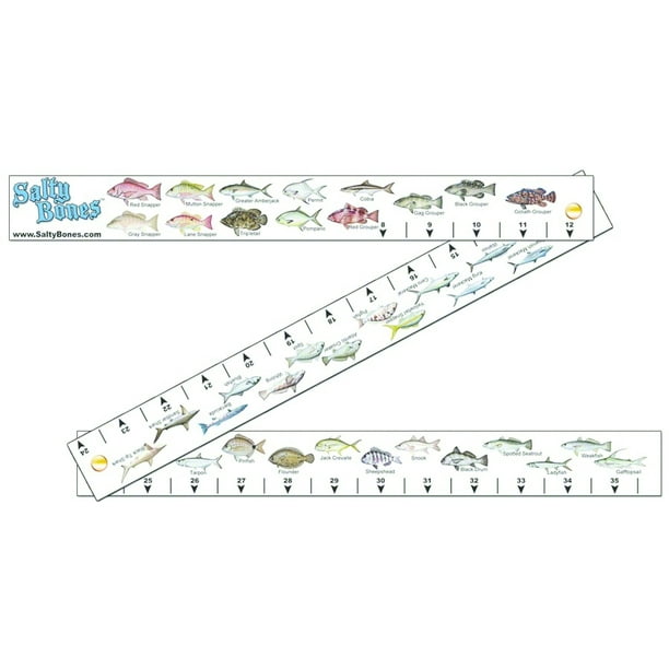 Salty Bones FS98 Folding/Floating Fishing Ruler, 2" x 36", Folds 12