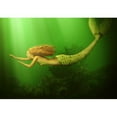 thumbnail image 2 of wall26 - Fantasy. Beautiful Woman Mermaid with Fish Tail and Long Developing Hair Swimming in The Sea Underwater - Removable Wall Mural | Self-Adhesive Large Wallpaper - 100x144 inches, 2 of 6