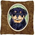 thumbnail image 1 of Carolines Treasures SS8929PW1414 Rottweiler Indoor & Outdoor Fabric Decorative Pillow, 1 of 4