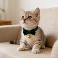 thumbnail image 1 of BotaniNest Reflective Nylon Collar With Quick Release Buckle For Secure Comfortable Daily Walks And Training, 1 of 6