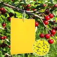 thumbnail image 5 of Visland 10PCS Sticky Traps Fly Paper, Dual-Sided Fruit Fly Traps Fungus Gnat Trap Killer for Outdoor Pest Insects Catcher, 5 of 7