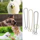 thumbnail image 2 of Collar de cadena para perros, correa de cadena en forma de P, eslabones metálicos, collar de entrenamiento para perros de razas medianas y grandes, incluyendo Pit Bulls., 2 of 8