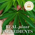 thumbnail image 4 of Herbal Essences bio:renew Hemp + Potent Aloe Sulfate Free Shampoo Frizz Control, 4 of 9