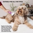 thumbnail image 4 of Cepillo Slicker Poodle Pet Mate Suelta Nudos para Peluquería en Perros Gatos Conejos, 4 of 8