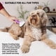 thumbnail image 4 of Cepillo Slicker Poodle Pet Mate Suelta Nudos para Peluquería en Perros Gatos Conejos, 4 of 8