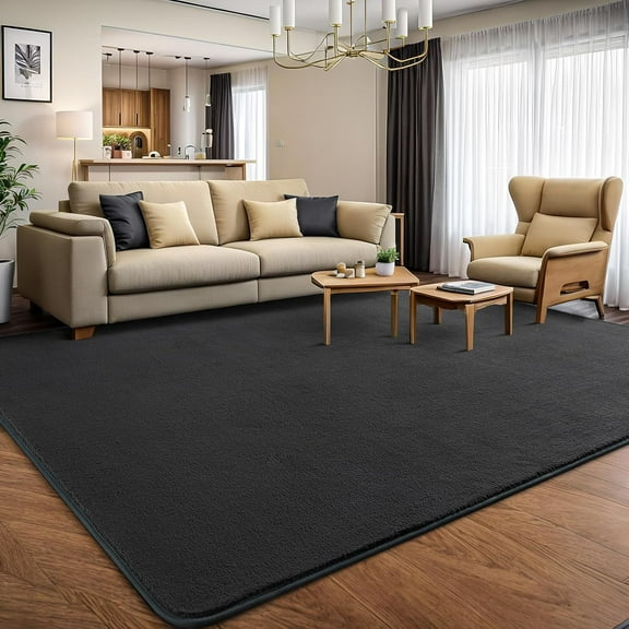Modern Shag Area Rug, 4x6 Feet Washable Carpet for Bedroom, Living Room, Kids Room, Dark Grey