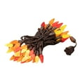 thumbnail image 1 of Novelty Lights 70 Light C6 LED Fall Thanksgiving Mini Light Set,Outdoor Lighting Patio Party String Lights, Yellow/Red/Orange, Brown Wire, 24 Feet, 1 of 5