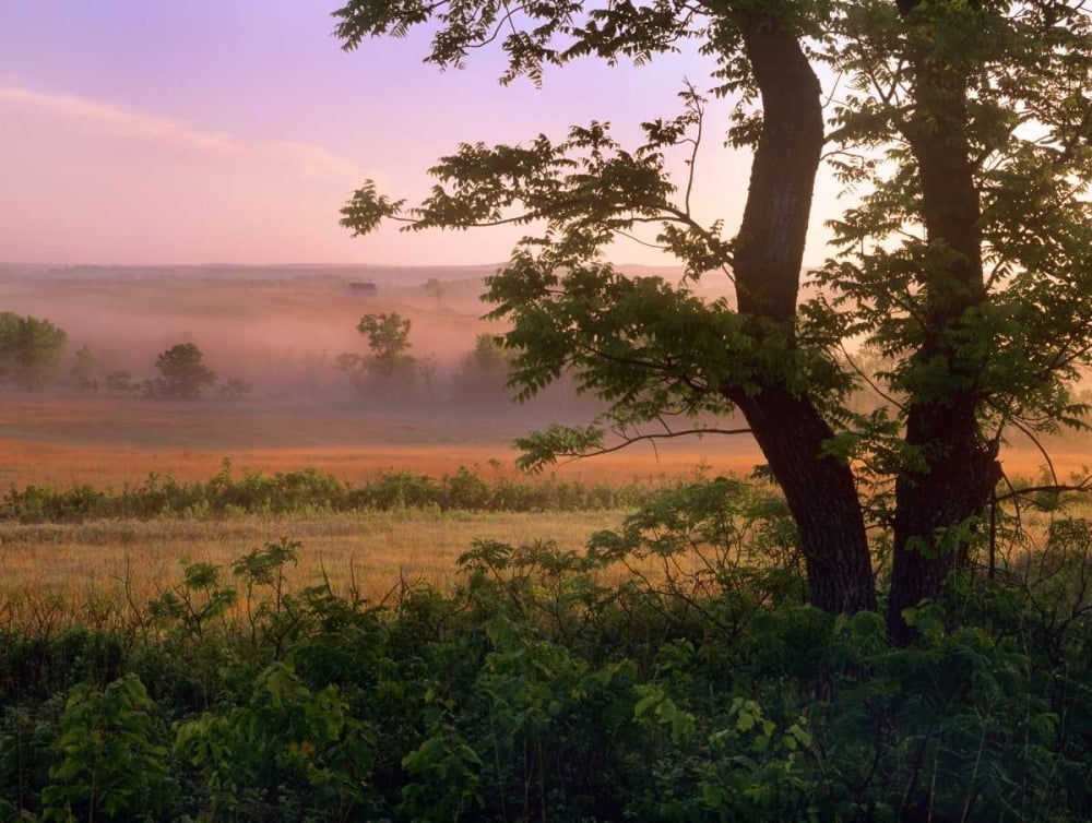 Tallgrass Prairie National Preserve Kansas Poster Print by Tim Fitzharris (9 x 12)
