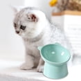 thumbnail image 7 of Elevated Pet Feeder Set Non- Raised Bowls for Comfortable Dog and Cat Dining, 7 of 7