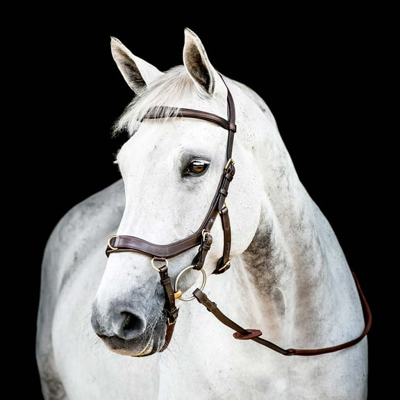 Horseware Micklem 2 Multi Bridle Lrg Horse Havana