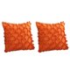 thumbnail image 1 of Funda de almohada Embrace de 2 piezas, funda de cojín para sofá, funda de almohada cuadrada decorativa, funda de almohada de estilo moderno de color sólido, cremallera de 18x18", 1 of 5