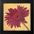 thumbnail image 2 of Marrott, Stephanie 20x20 Black Modern Framed Museum Art Print Titled - Gerber III, 2 of 5