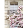thumbnail image 2 of Okula, Carina 13x18 Black Ornate Wood Framed with Double Matting Museum Art Print Titled - Spring Magnolias in Paris, 2 of 4