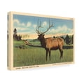 thumbnail image 2 of Wild Apple Portfolio 'Elk I Crop' Canvas Art, 2 of 4