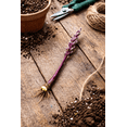 thumbnail image 3 of Purple Continental Willow Cuttings for Planting - Vibrant Purple Bark Willow | Fast Growing Ornamental Shrub | Live Dormant Hardwood Starts (2 Cuttings), 3 of 6