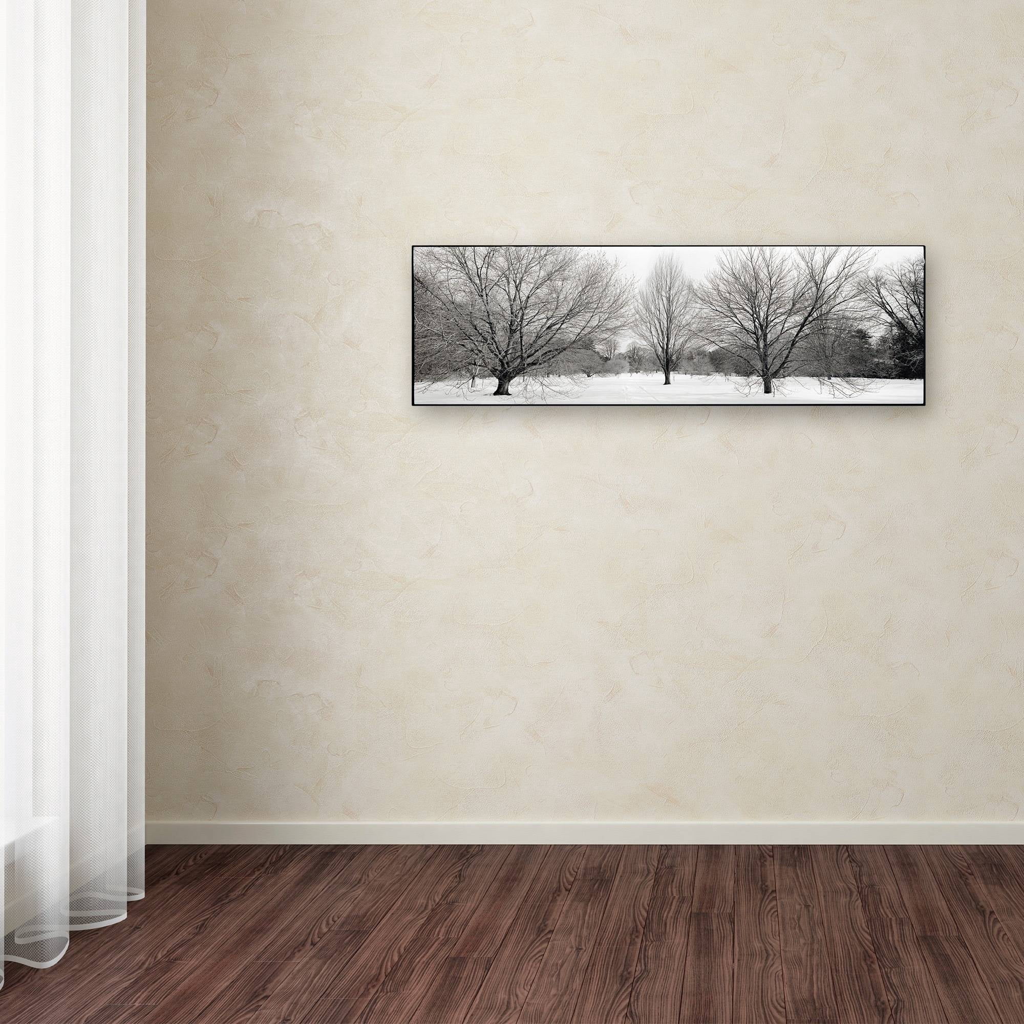 Trademark Fine Art "Winter Garden I" Canvas Art by Alan Blaustein