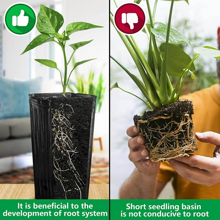 pothos potting mix Organic Pothos Soil - 4 Quart
