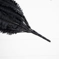thumbnail image 4 of Nearly Natural Artificial Halloween Boston Ferns - 48" - Black - Set of 2, 4 of 4