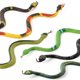 thumbnail image 3 of Realista plástico serpiente bosque serpiente juguete conjunto fiesta bolsa relleno Pra, 3 of 5
