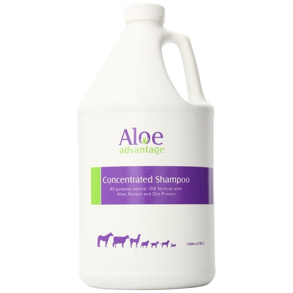 Champú concentrado de aloe 1 galón