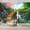 Color 3, variant on Wallpaper Serene Sunset Wooden Pier Calm Waters Peel and Stick Wall Murals 69"H x 96"W Removable PVC Wall Paper Self-Adhesive Wall Paintings Art Decor for Bedroom Living Room