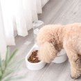 thumbnail image 3 of WRITWAA 1Ud Comedero Para Perro Y Con Botella Dispensadora De Práctica, 3 of 8
