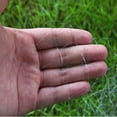 thumbnail image 3 of Kyusrd Summer Outdoor Patio Deals！Fishing Net Trap Bead Copper Spring Shoal Netting Fishnet Tackle, 3 of 9