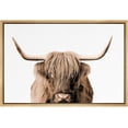 thumbnail image 4 of "Shetland Cow" 24 in x 36 in Framed Photography Canvas Art Print, by PixonSign, 4 of 5