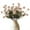 Beige, variant on Trianu 6Pcs Artificial Silk Pompon Mum Flowers, Fake Small Chrysanthemums with Stems for DIY Bouquet Centerpieces Wedding Fillers Arrangements Shower Decorations, Beige