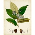 thumbnail image 2 of Vision Studio 20x24 White Modern Wood Framed Museum Art Print Titled - Verdant Foliage IV, 2 of 4