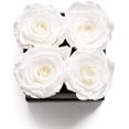 Soho Floral Arts Roses in A Box Fresh Flowers Last A Year Or More (Black Square 4ct, White