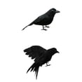 thumbnail image 1 of Cuervos Decoraciones de Halloween, 2 cuervos y urracas realistas de ño natural para Halloween Decoraciones para exteriores e interiores Pájaros co, 1 of 9