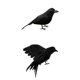 thumbnail image 1 of Cuervos Cuervos Artificiales Cuervos Pájaros Realistas para Jardín Árbol Decoración de Halloween, 1 of 9