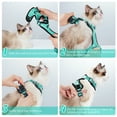 Rabbitgoo PetSafe Cat Harness with Leash EscapeProof, Breathable