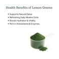 thumbnail image 5 of Eclectic Herb - Lemon Greens Powder Supplement | Immune + Detox Support | Nutritional Support, Vitamins + Minerals | Superfood Powder + Daily Greens Drink Mix | Non-GMO, Vegan (3.2 oz | 90 g), 5 of 8
