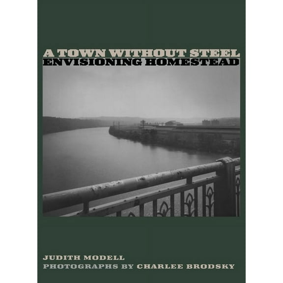 Regional A Town Without Steel: Envisioning Homestead, (Paperback)