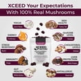 thumbnail image 3 of Gomitas Supplement XCEED NATURE Lions Mane & Cordyceps, 60 unidades, 3 of 7